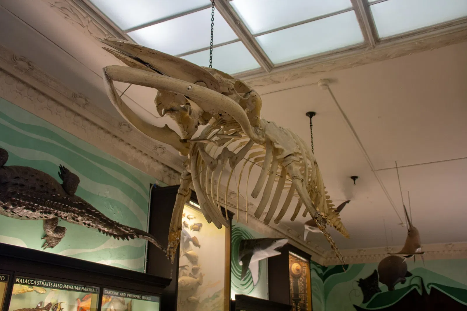 Vanderbilt Museum, Mansion, and Planetarium