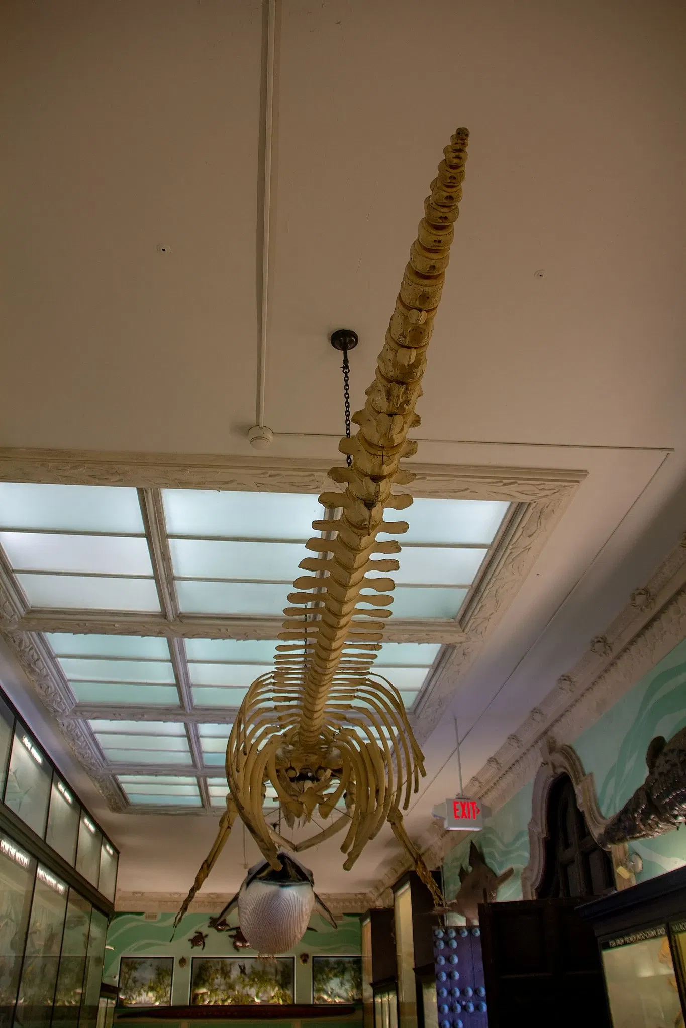 Vanderbilt Museum, Mansion, and Planetarium