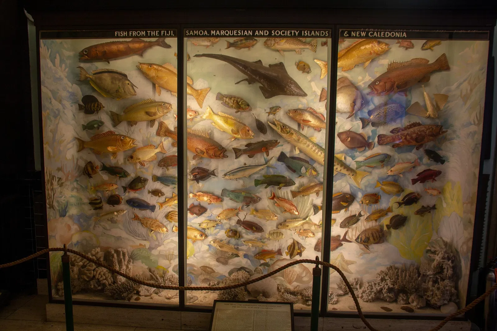 Vanderbilt Museum, Mansion, and Planetarium