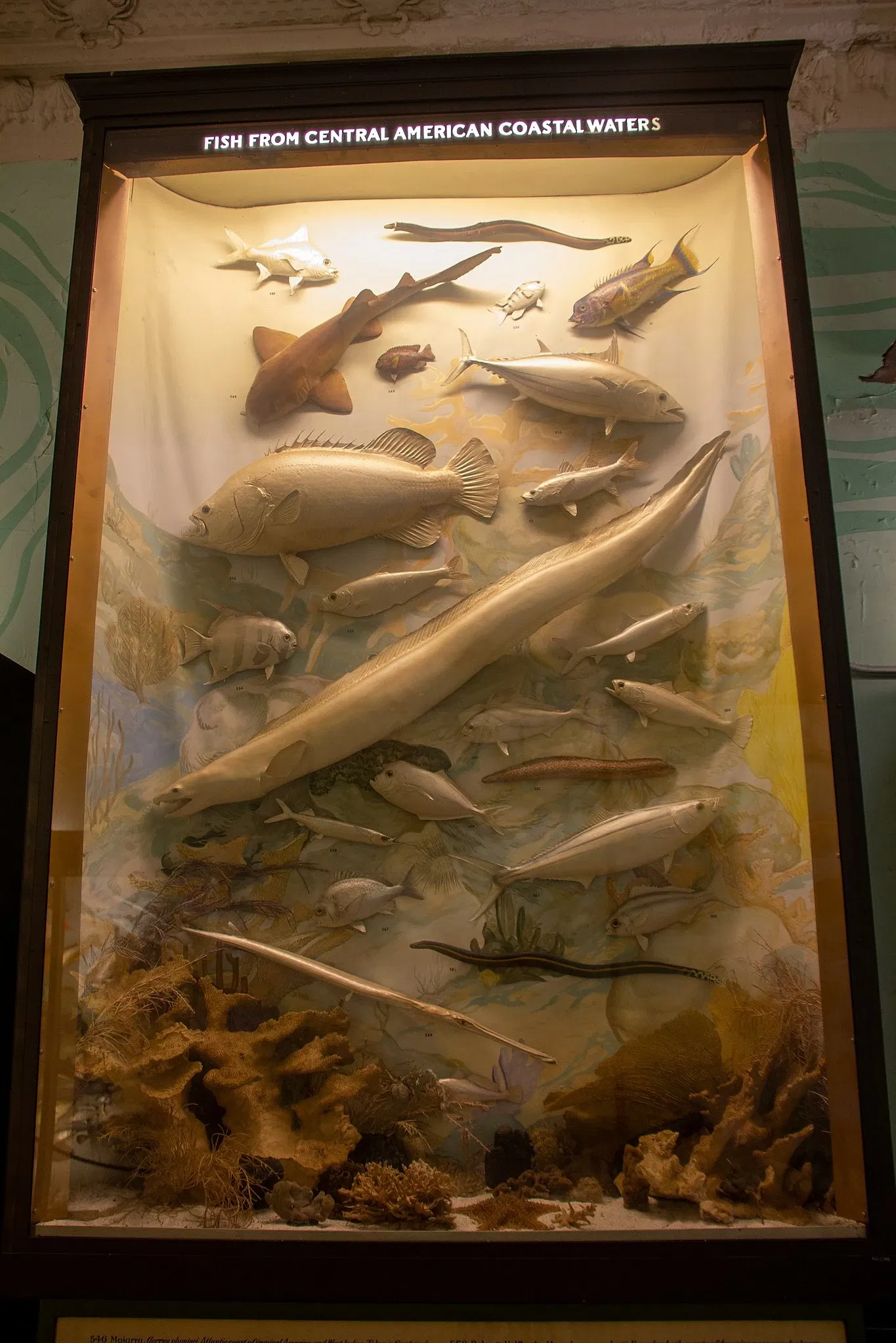 Vanderbilt Museum, Mansion, and Planetarium