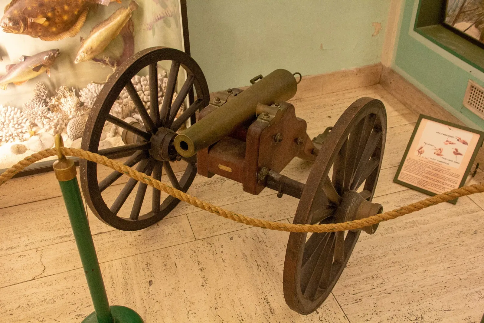 Vanderbilt Museum, Mansion, and Planetarium