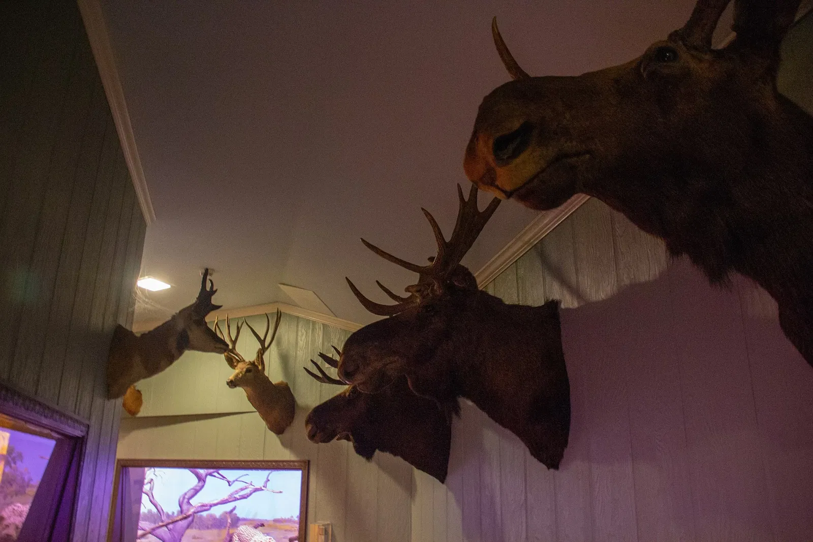 Vanderbilt Museum, Mansion, and Planetarium