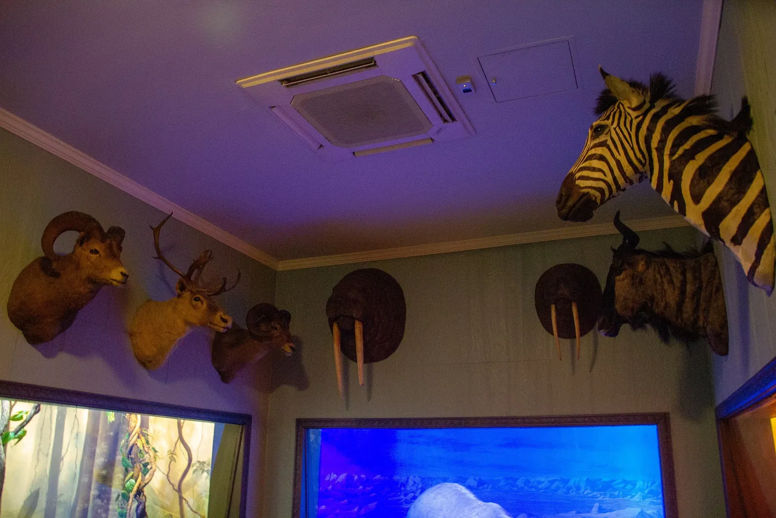 Vanderbilt Museum, Mansion, and Planetarium