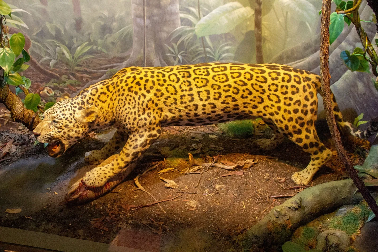 Vanderbilt Museum, Mansion, and Planetarium