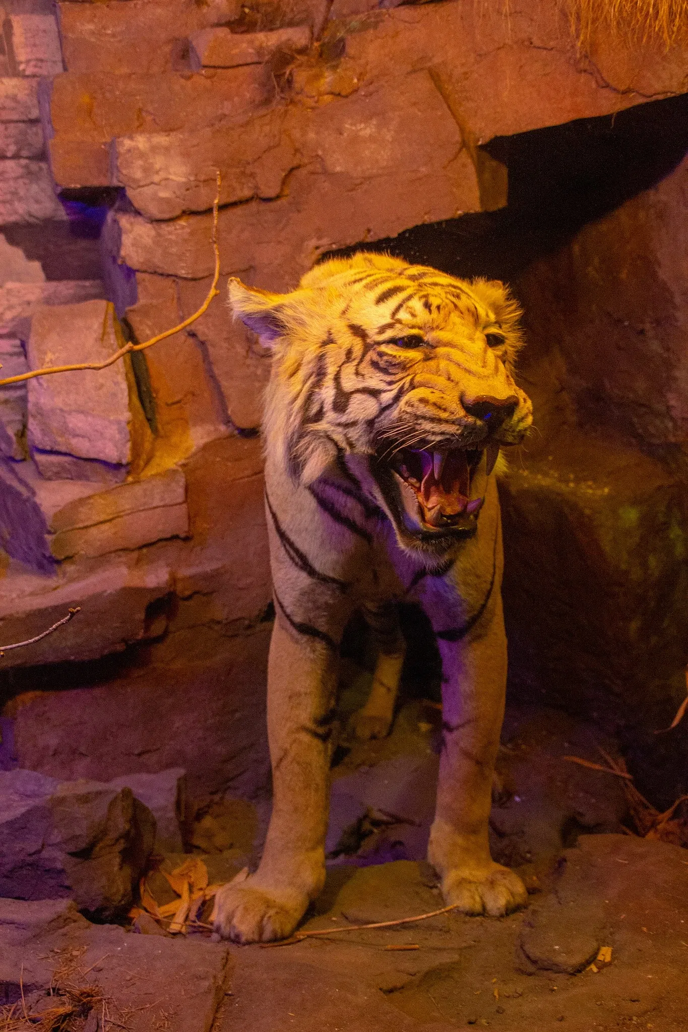 Vanderbilt Museum, Mansion, and Planetarium