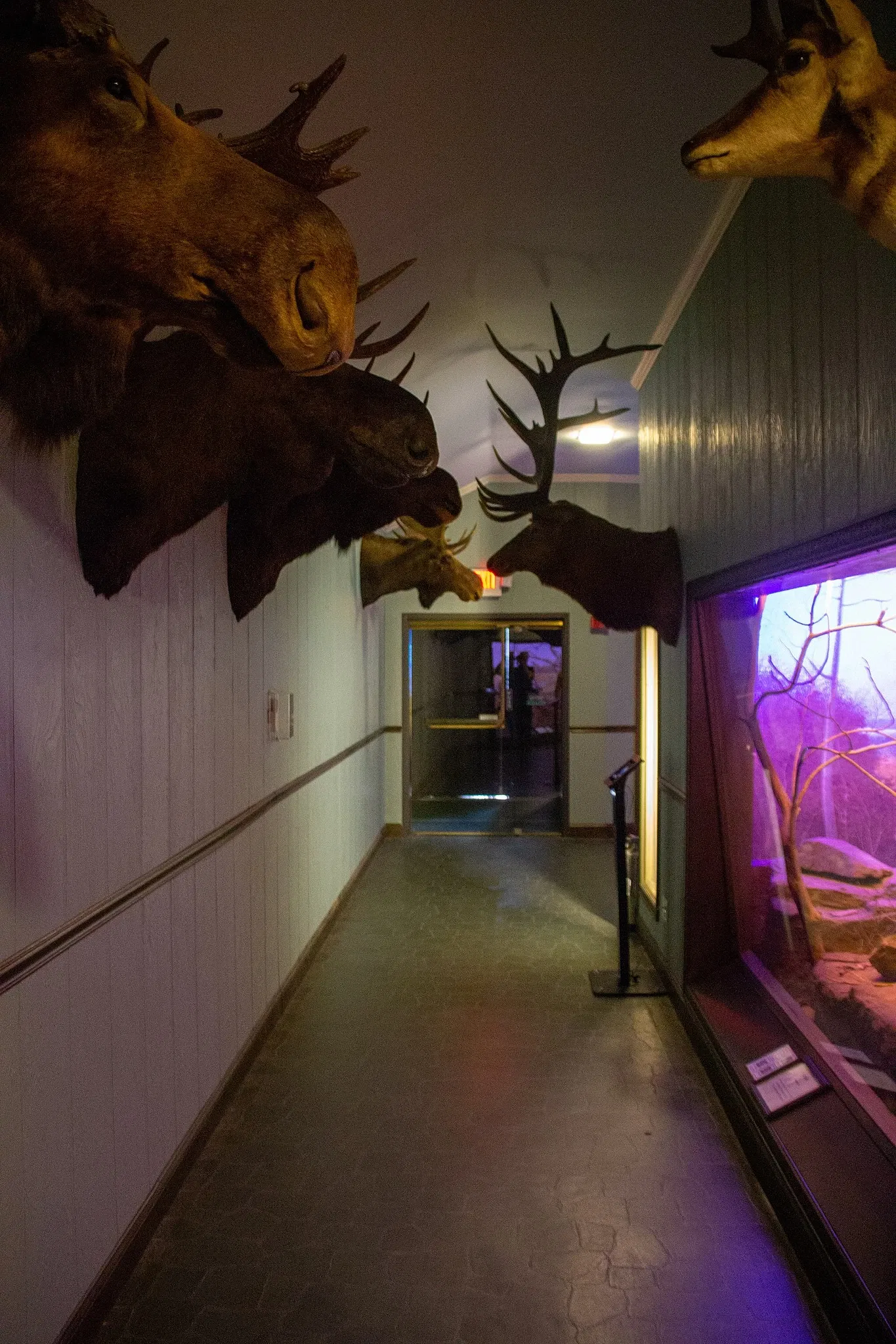 Vanderbilt Museum, Mansion, and Planetarium