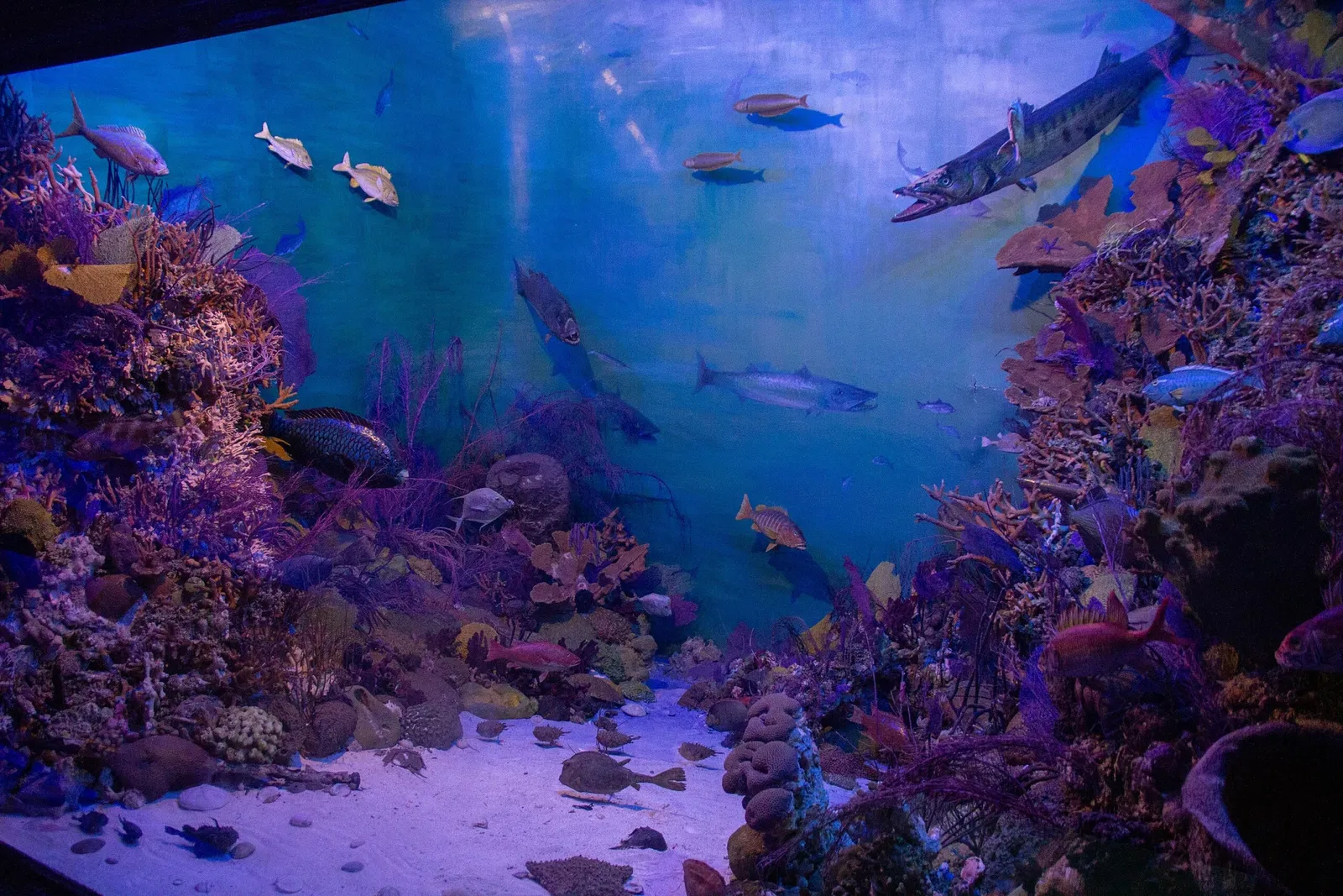 Vanderbilt Museum, Mansion, and Planetarium