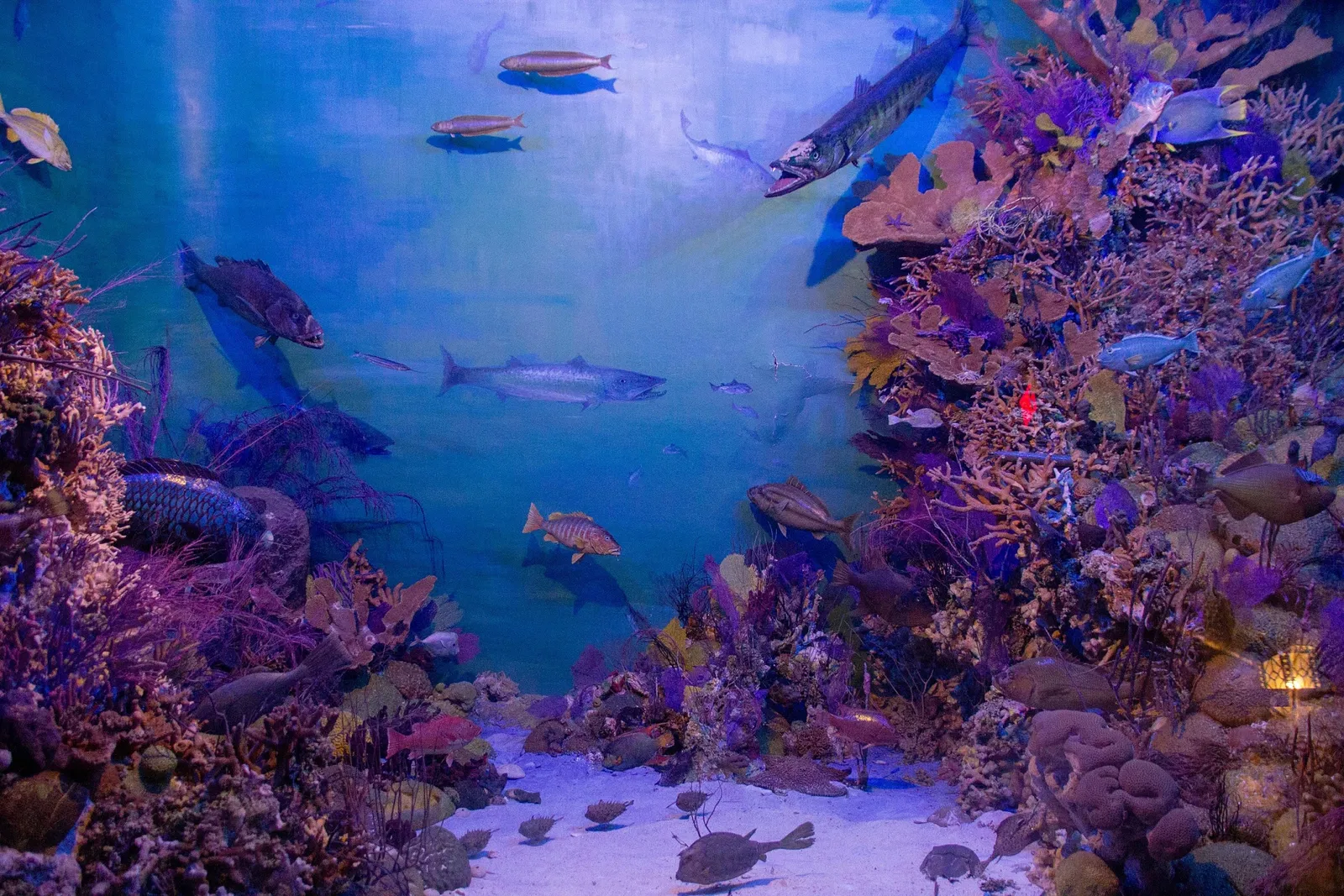 Vanderbilt Museum, Mansion, and Planetarium