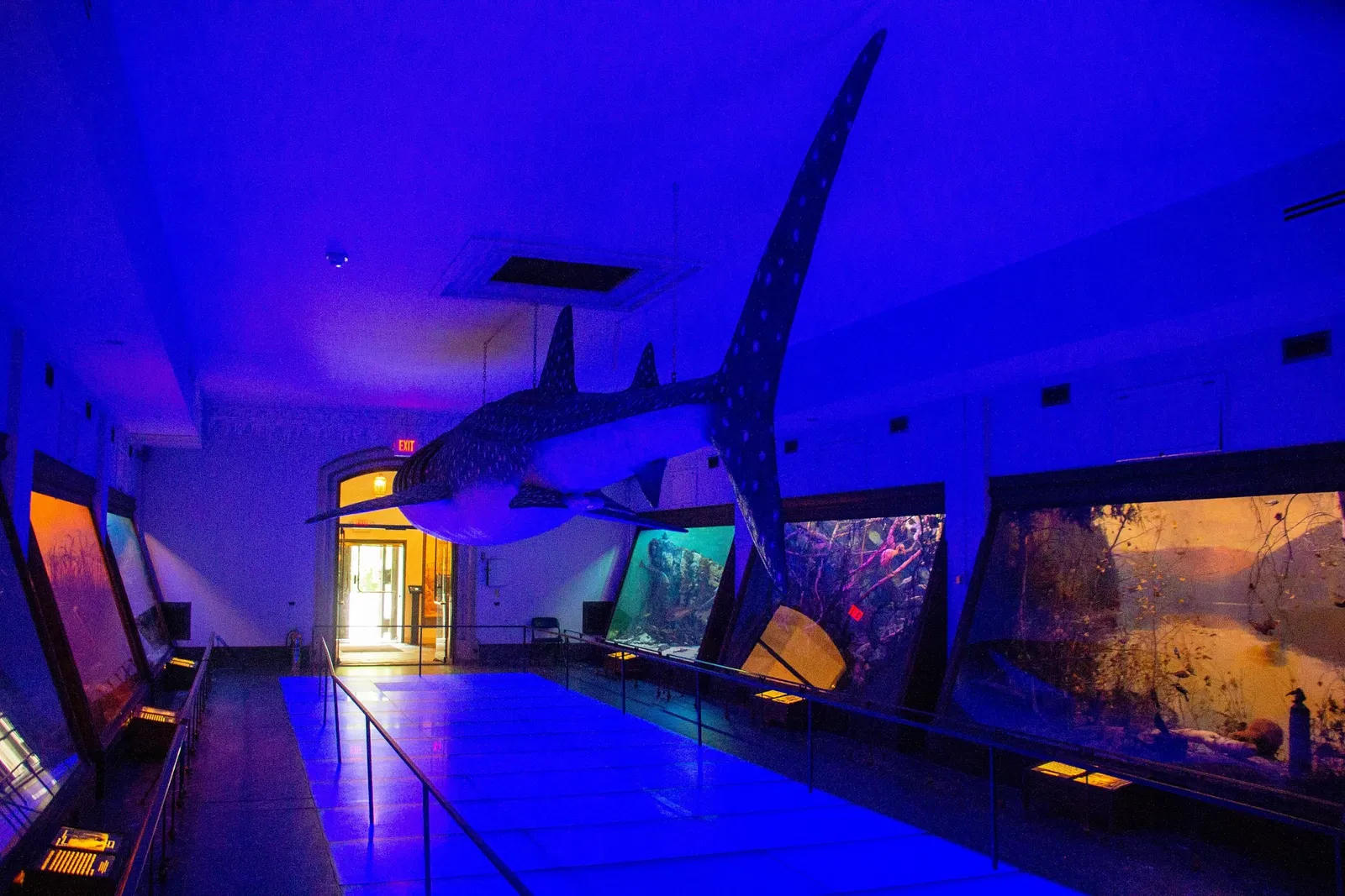 Vanderbilt Museum, Mansion, and Planetarium