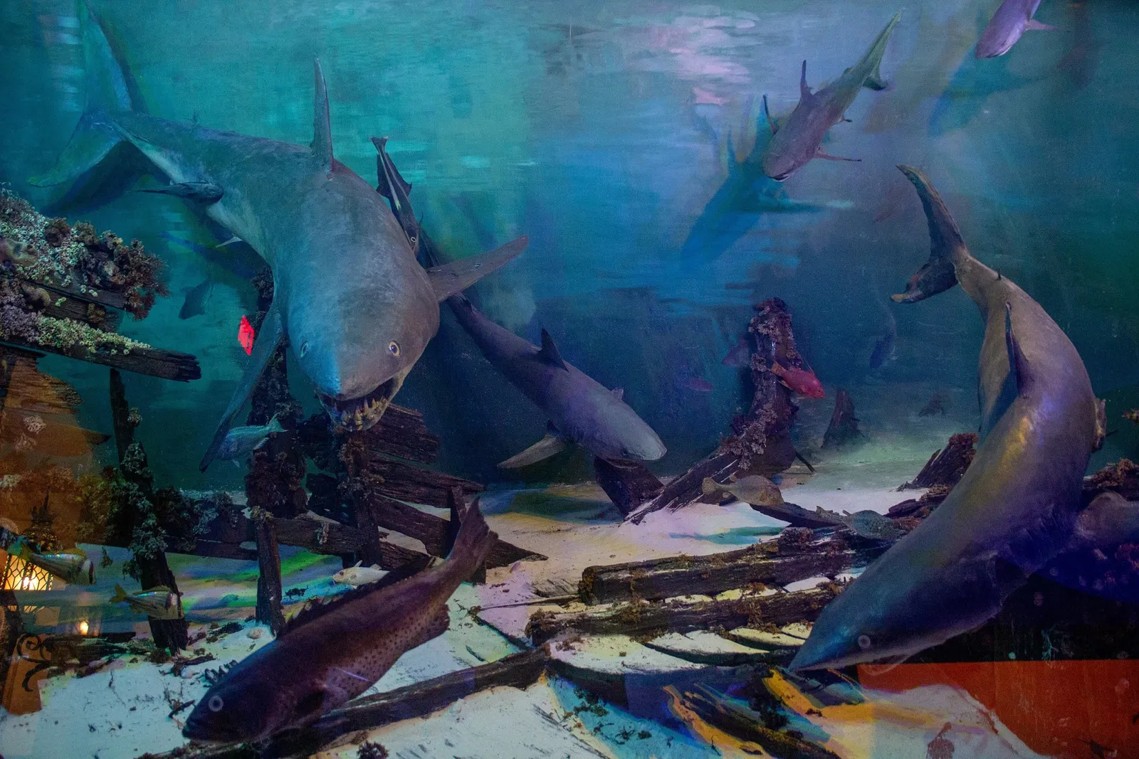 Vanderbilt Museum, Mansion, and Planetarium