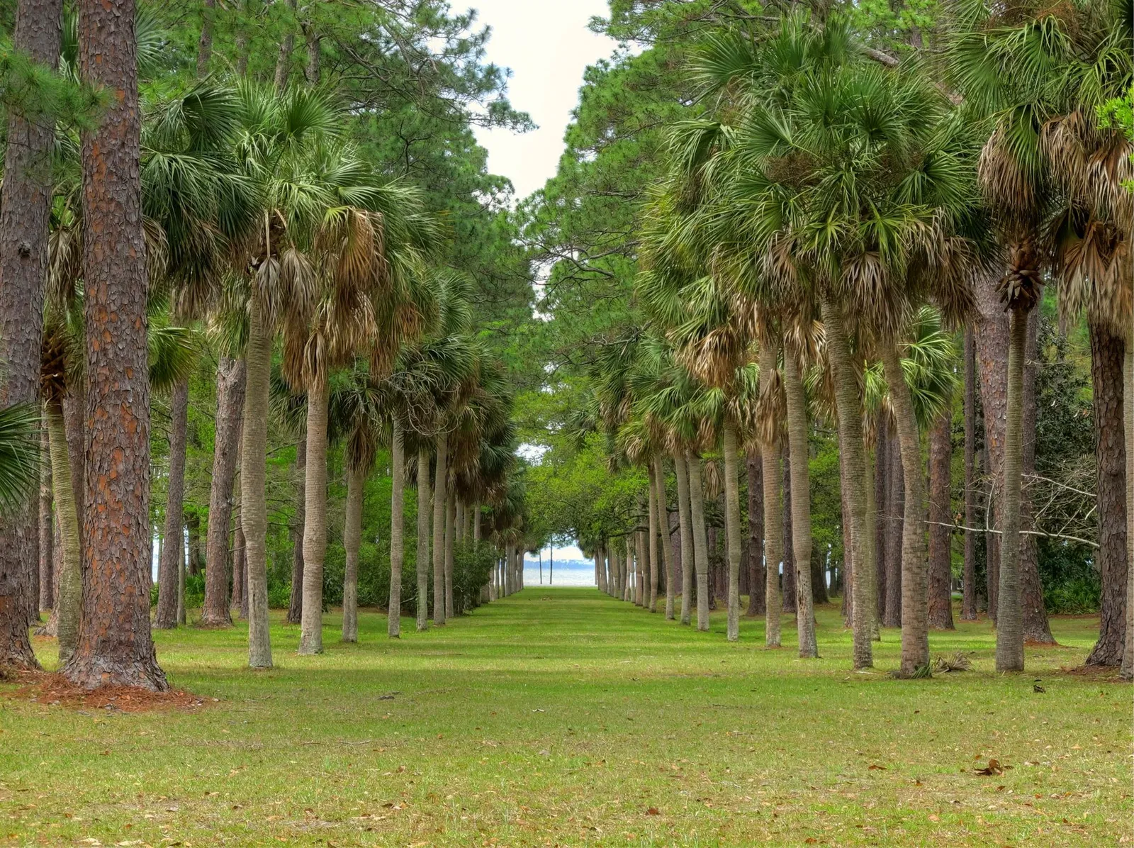 Constitution Convention Museum State Park