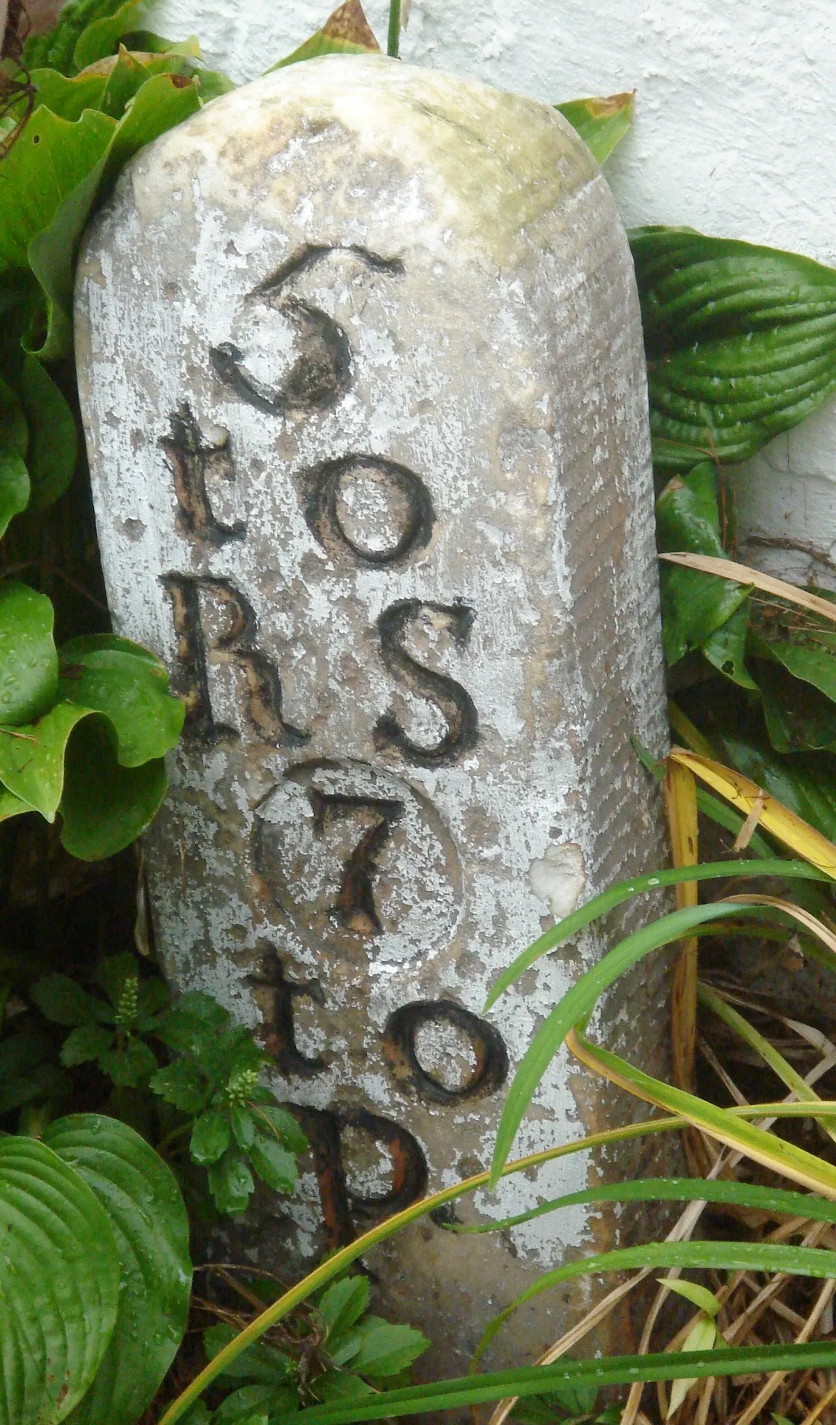 Richard Wall House Museum