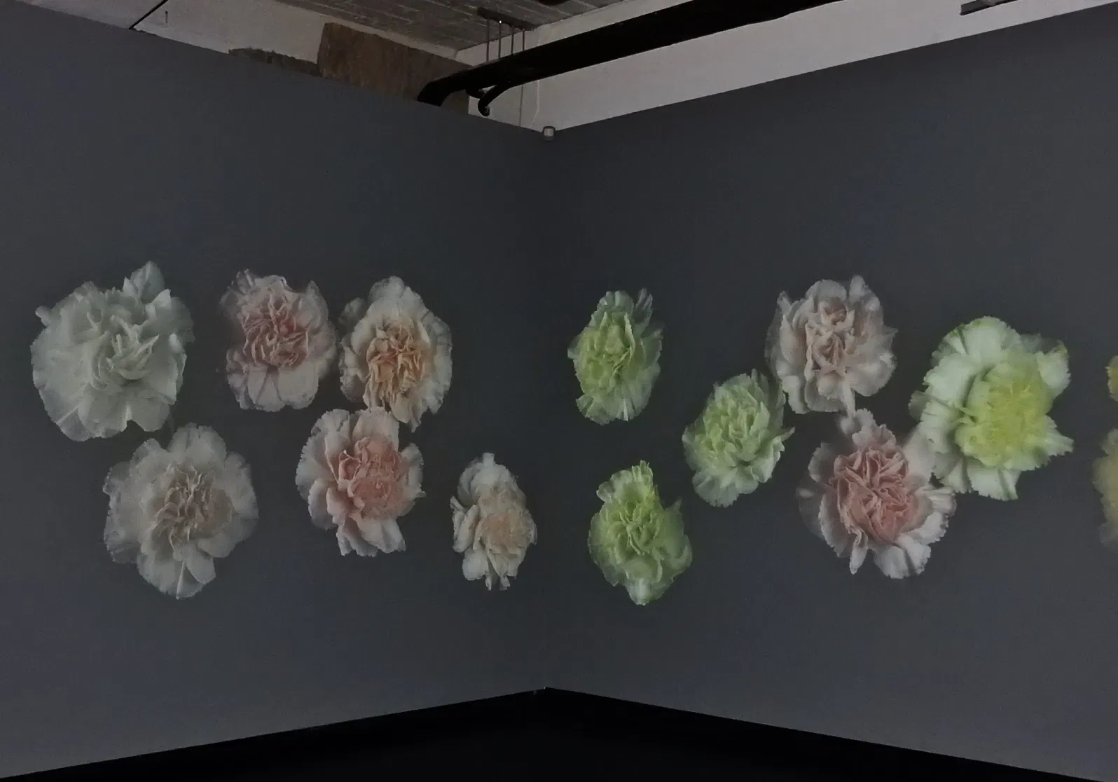 City Gallery Wellington