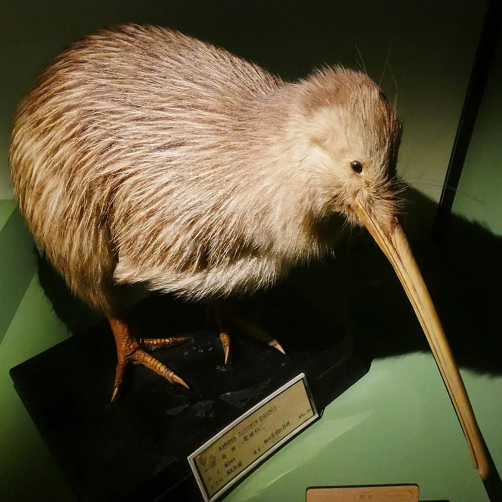 Musée de Nouvelle-Zélande Te Papa Tongarewa