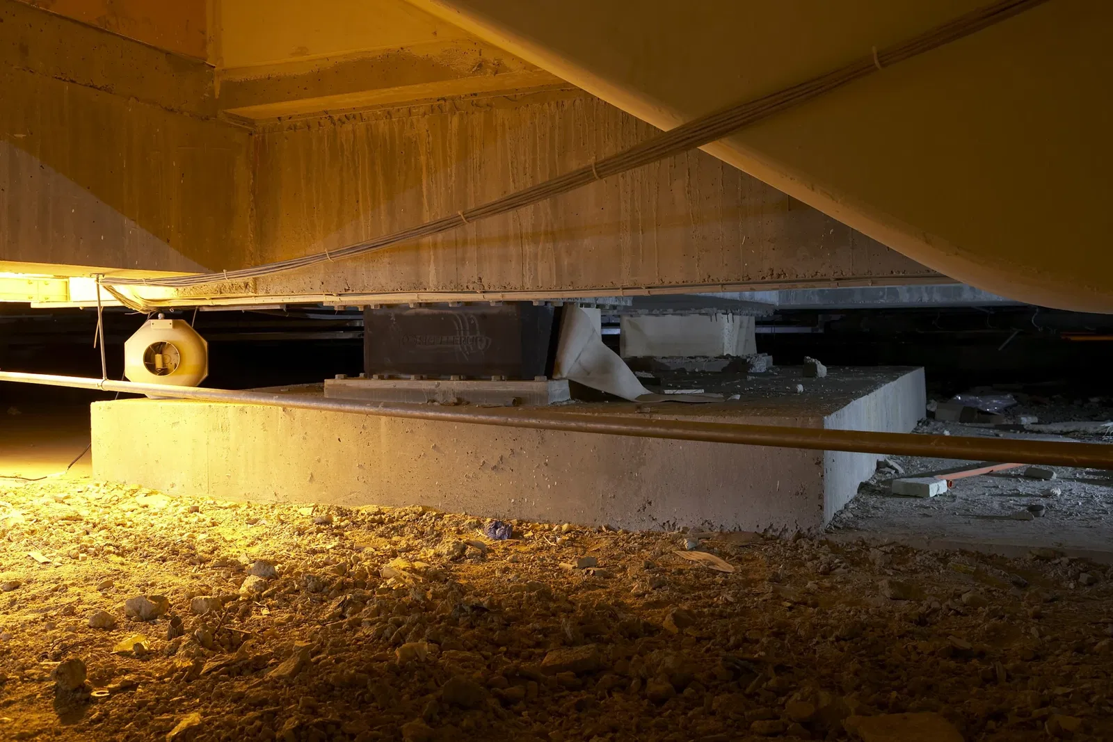 Musée de Nouvelle-Zélande Te Papa Tongarewa