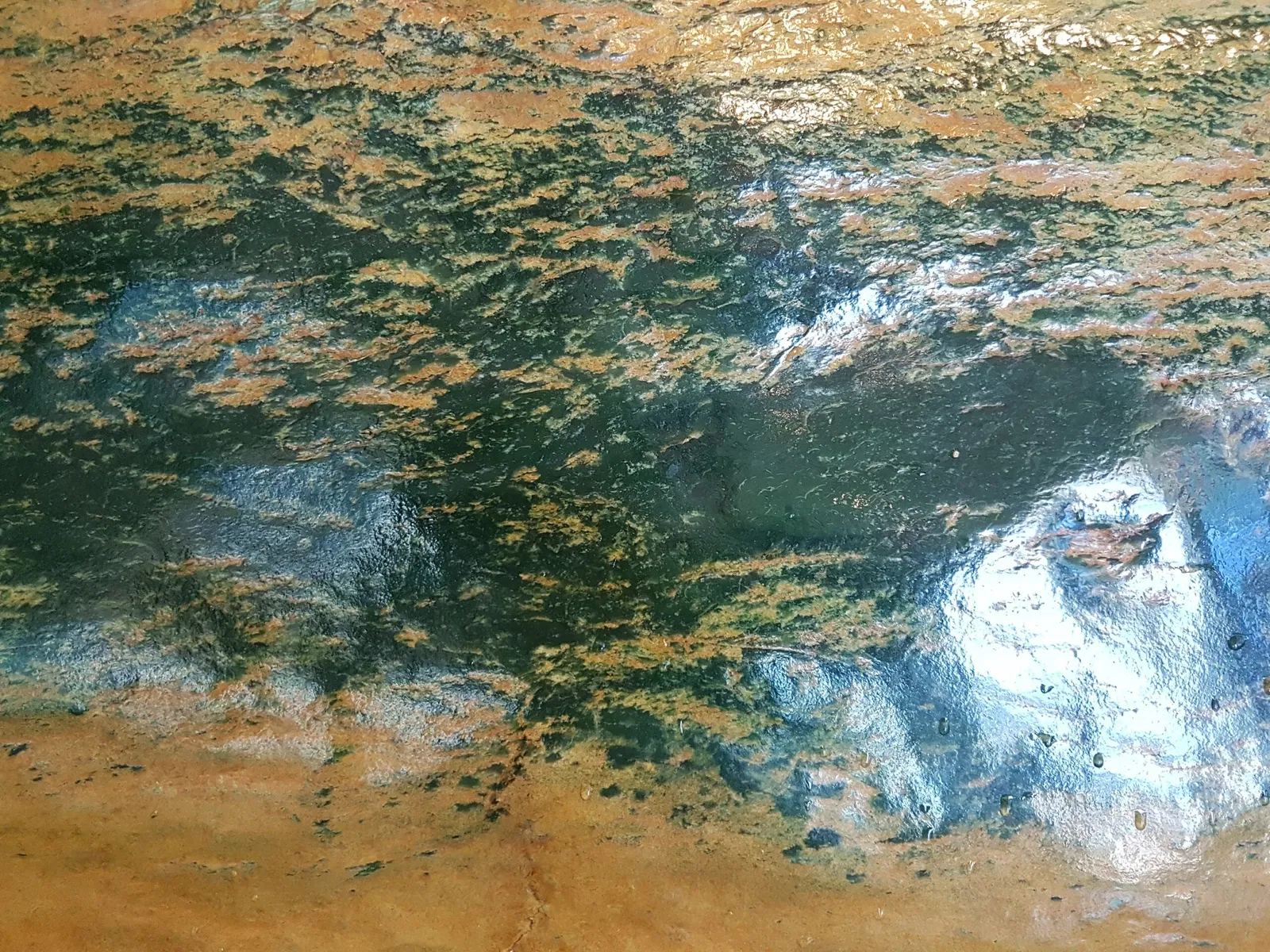 Musée de Nouvelle-Zélande Te Papa Tongarewa