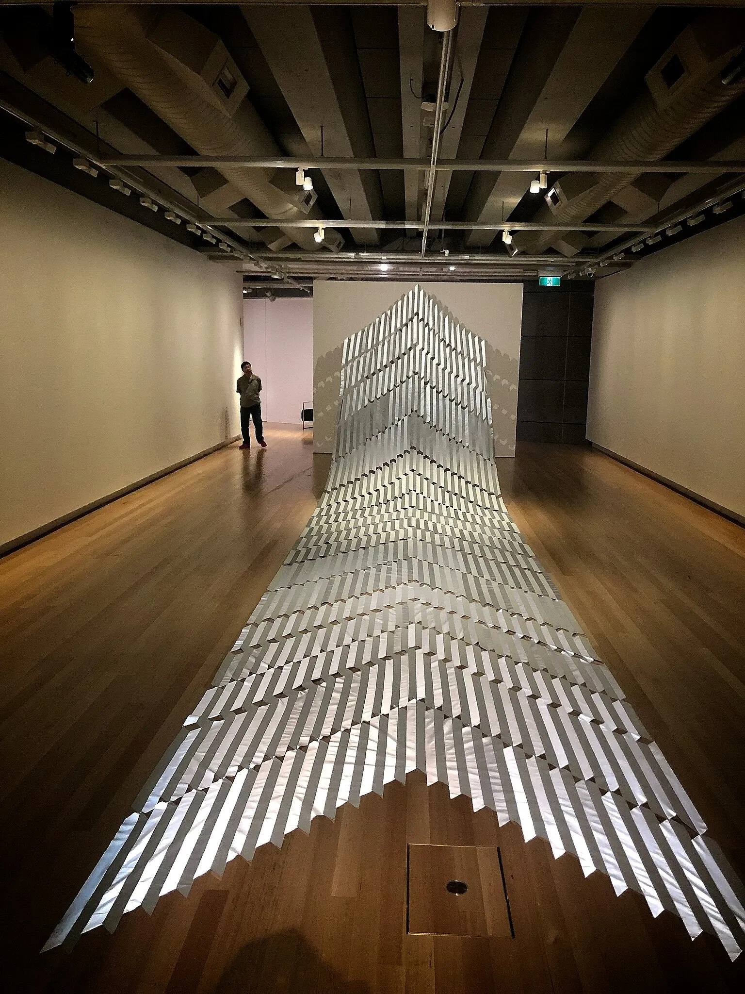 Musée de Nouvelle-Zélande Te Papa Tongarewa