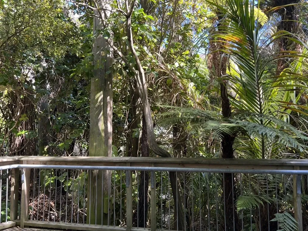 Museo de Nueva Zelanda Te Papa Tongarewa