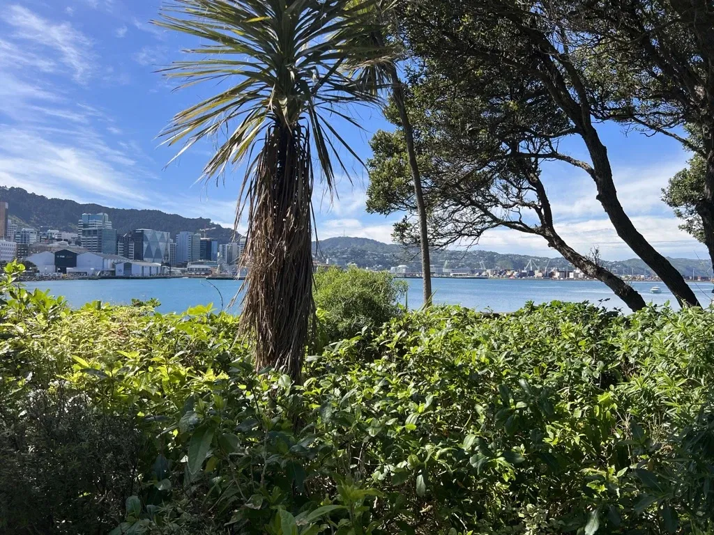Museo de Nueva Zelanda Te Papa Tongarewa