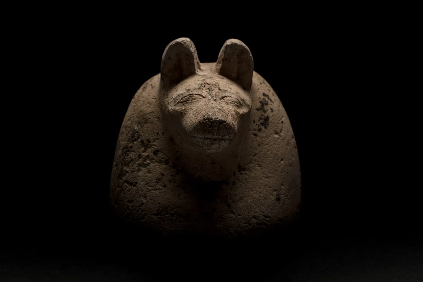 Auckland War Memorial Museum