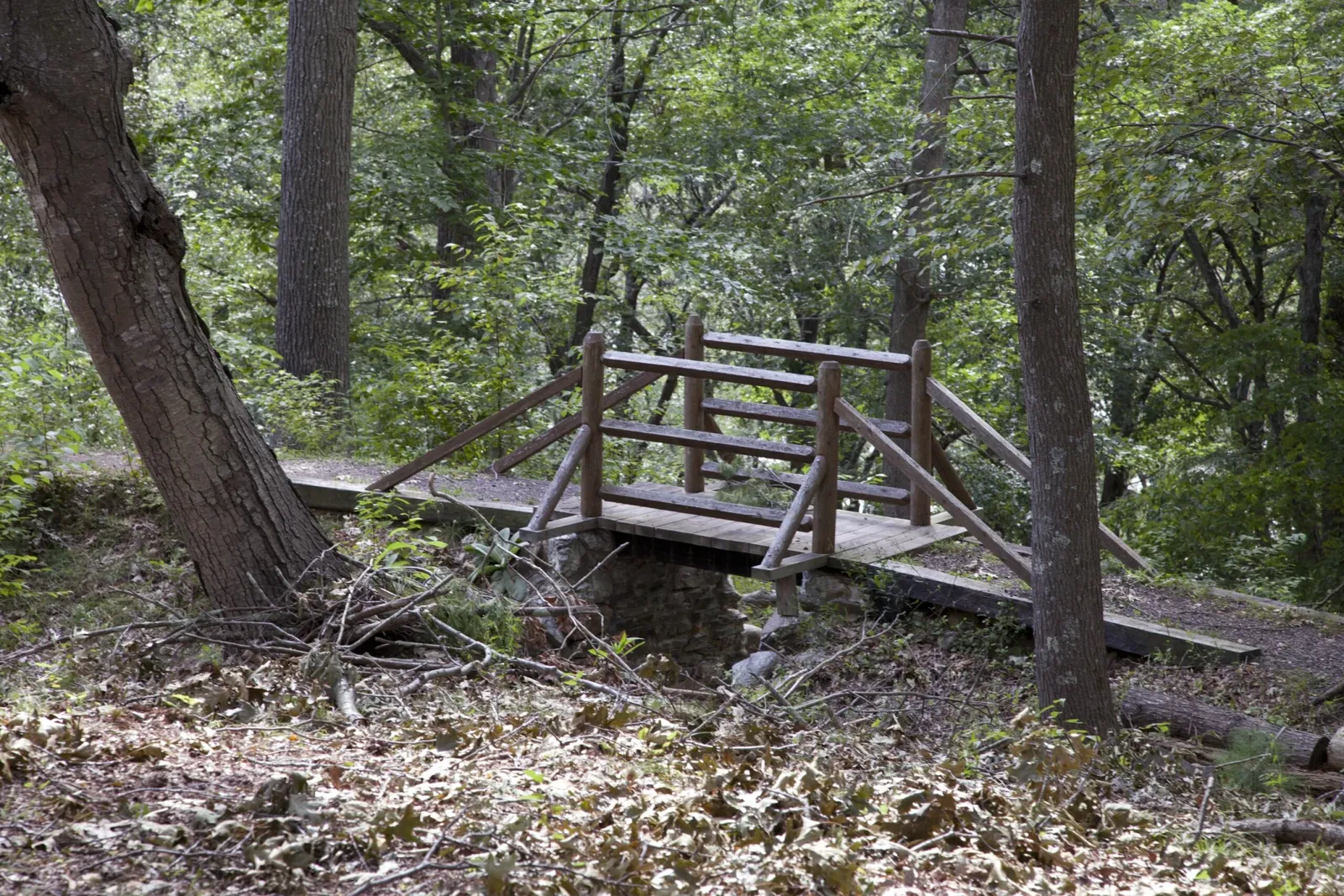 Gillette Castle State Park