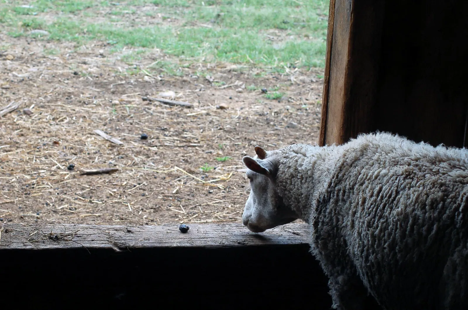 Old Sturbridge Village