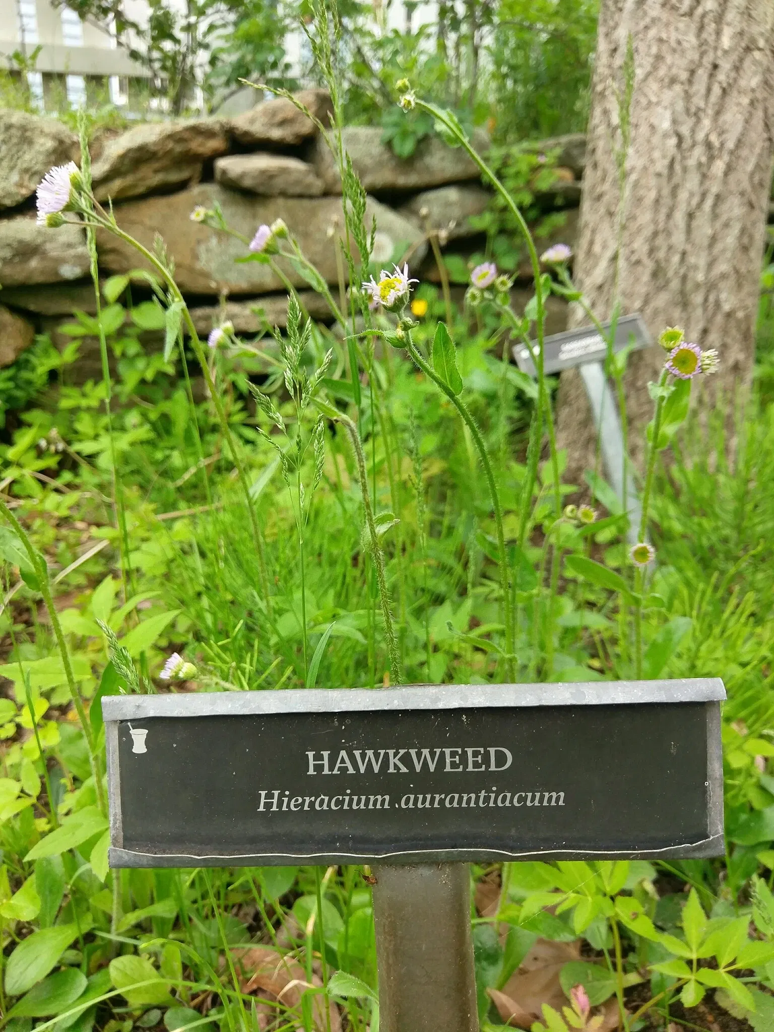 Old Sturbridge Village