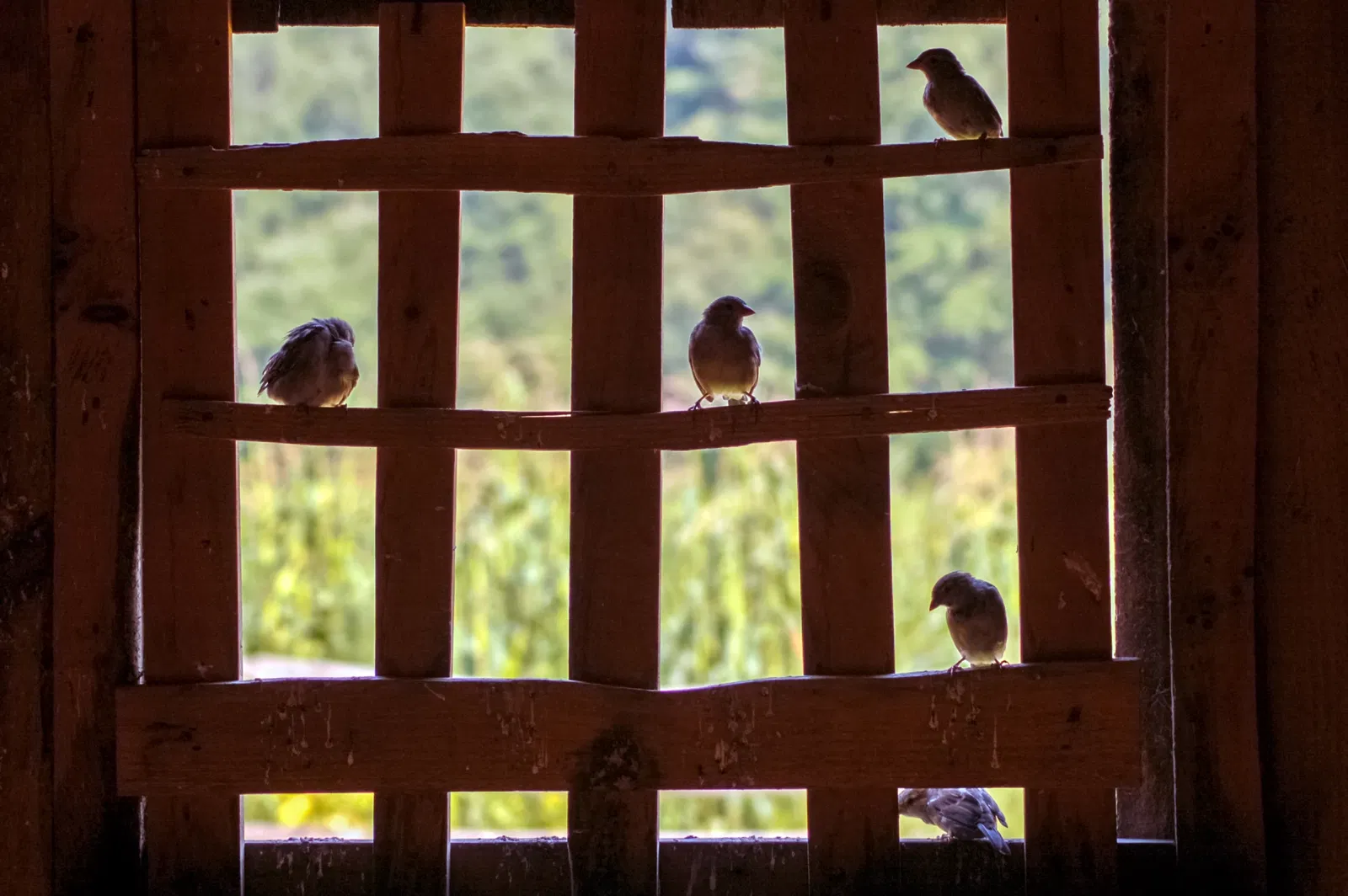 Old Sturbridge Village