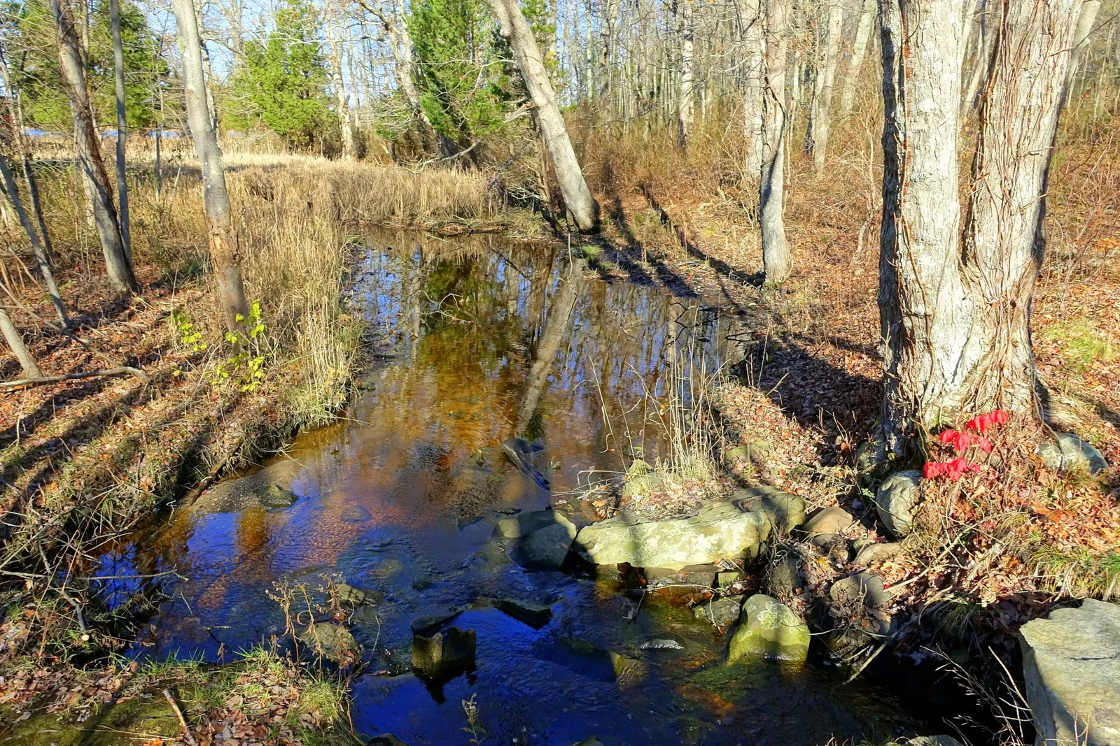 Dighton Rock State Park