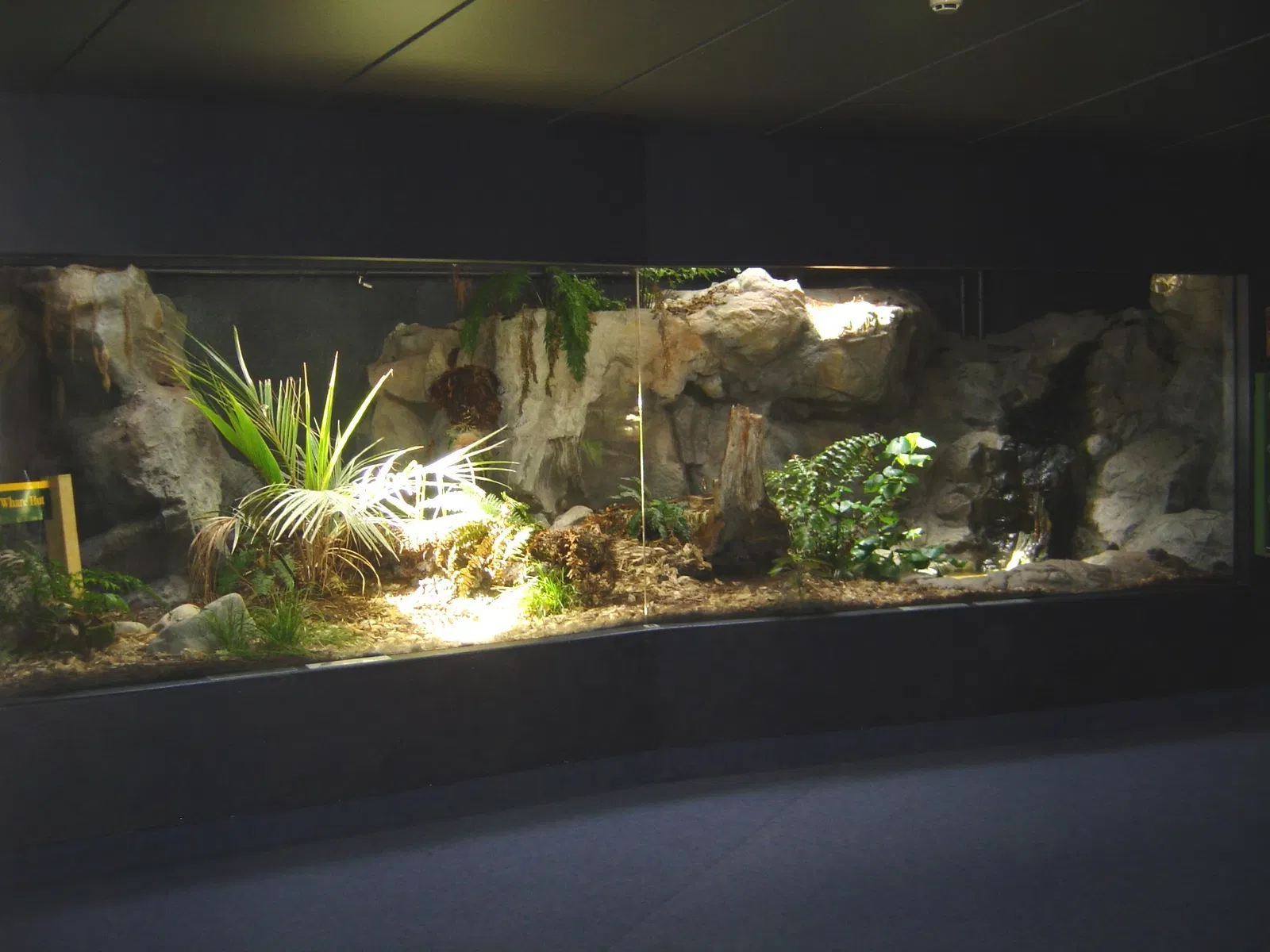 National Aquarium of New Zealand