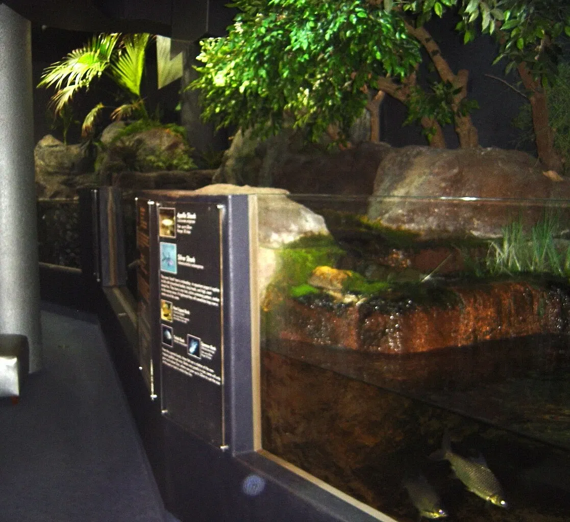 National Aquarium of New Zealand