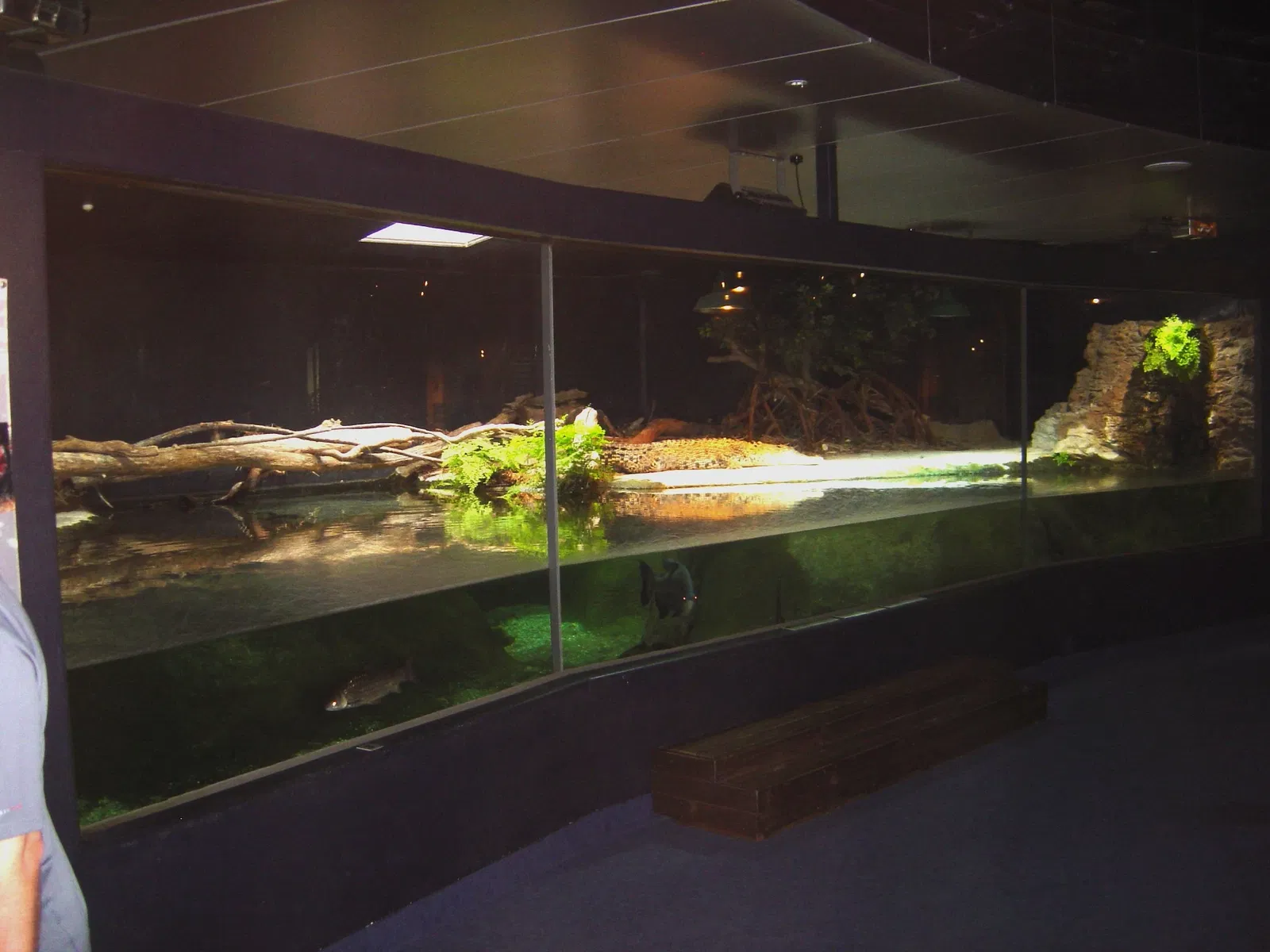 National Aquarium of New Zealand