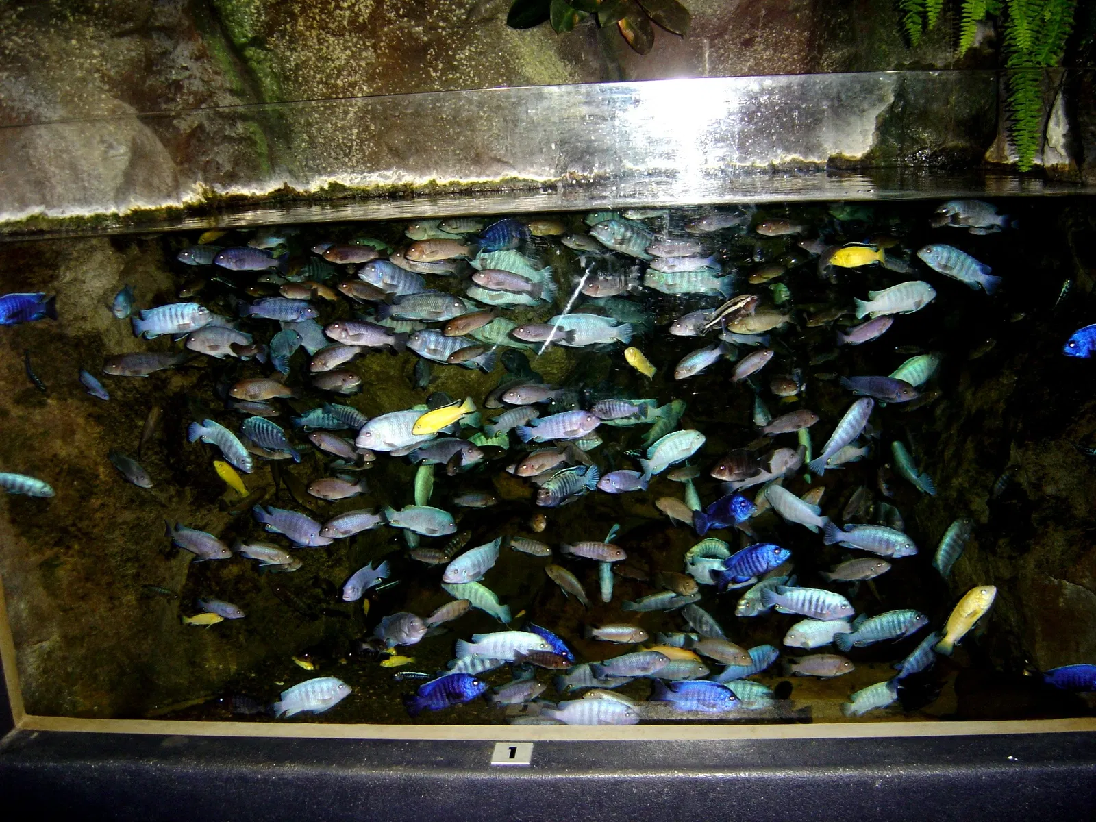 National Aquarium of New Zealand