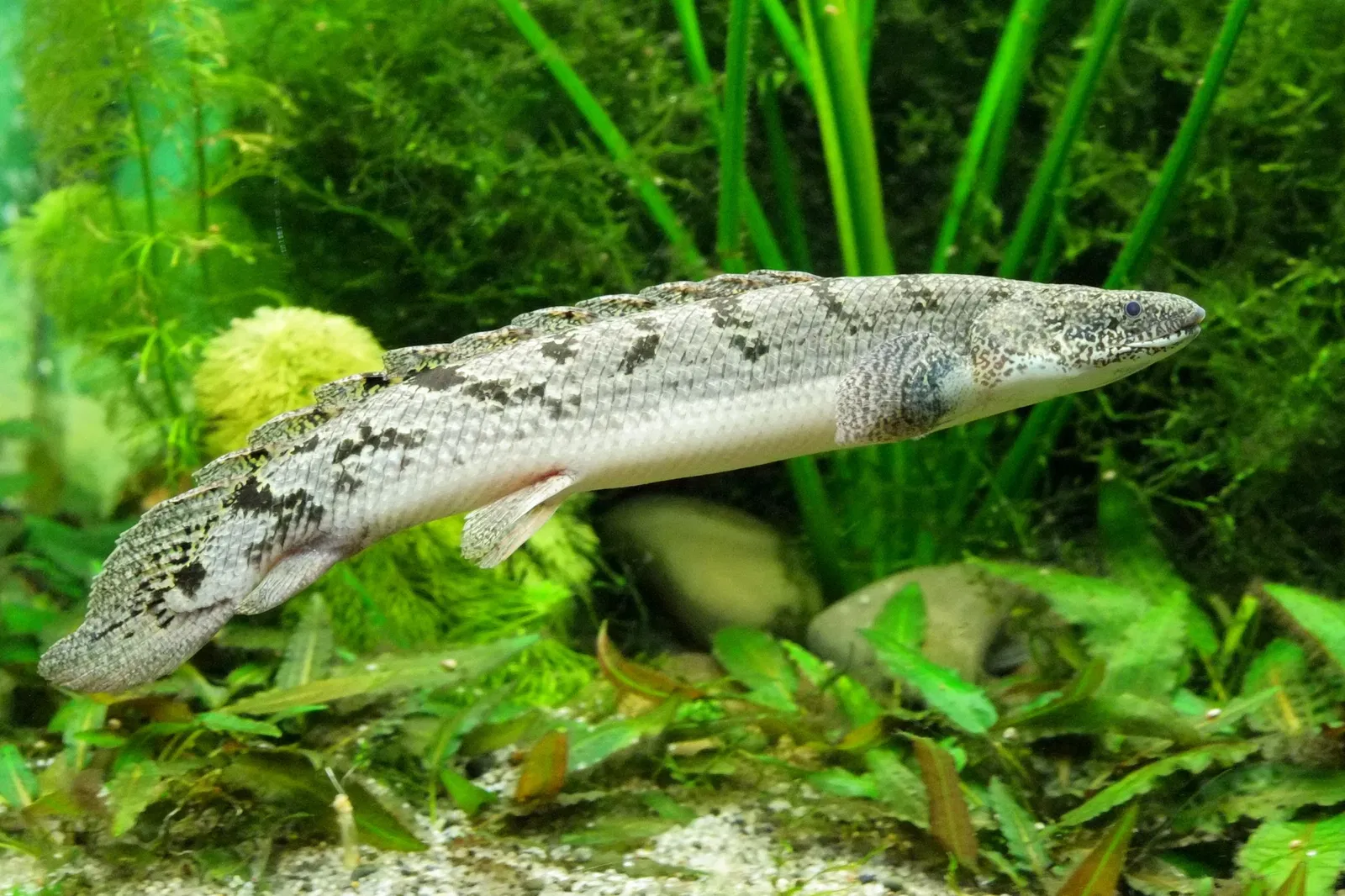 National Aquarium of New Zealand