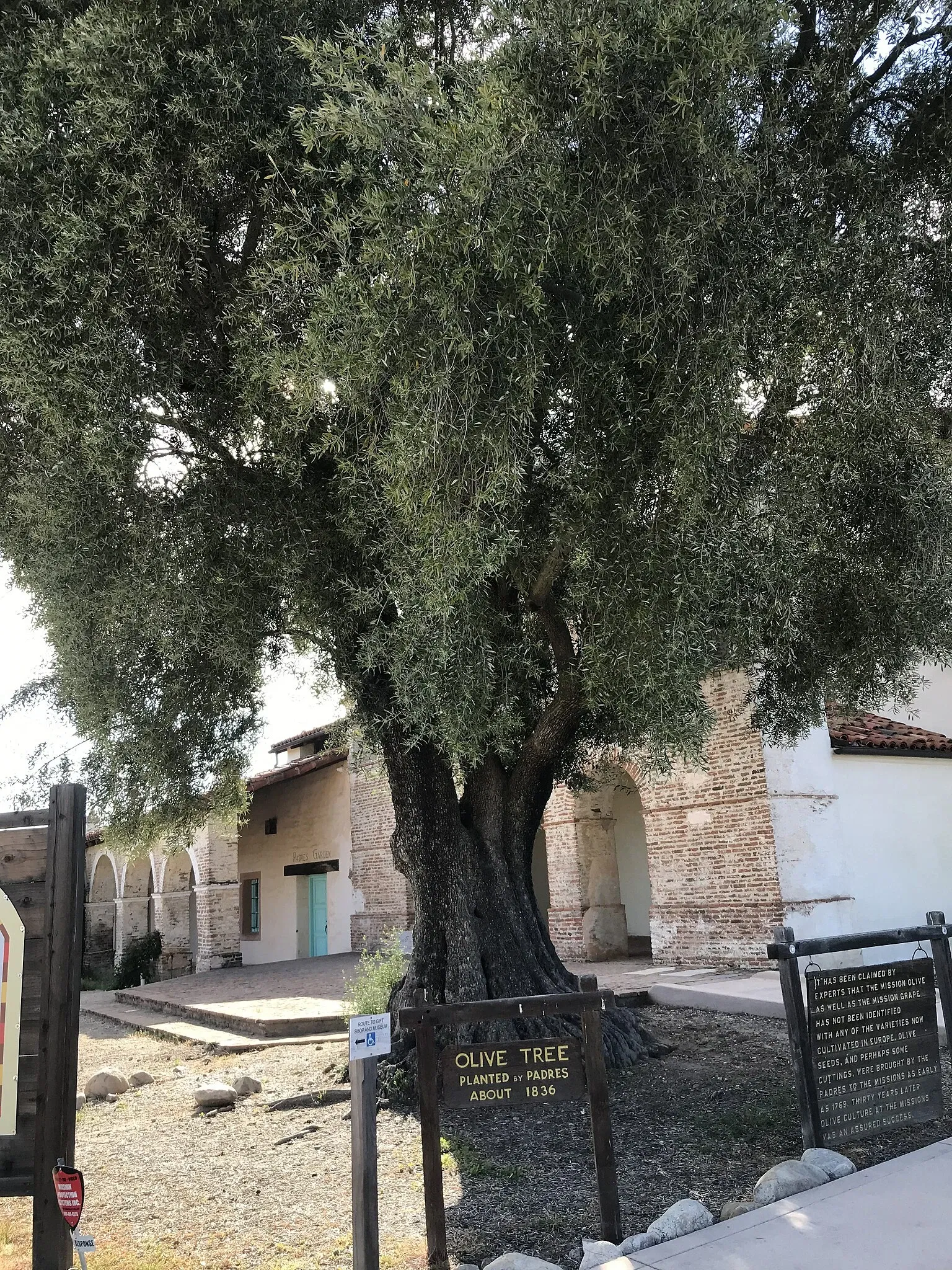 Misión San Antonio de Padua