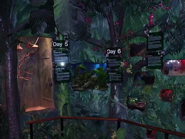 Creation and Earth History Museum