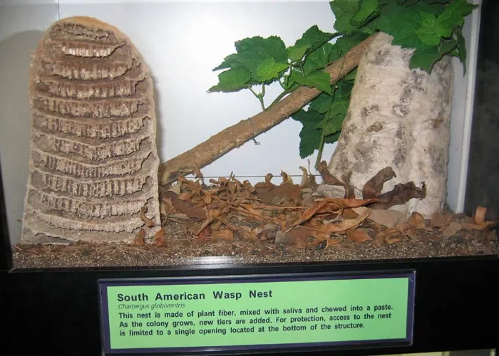 Parc zoologique de Saint-Louis