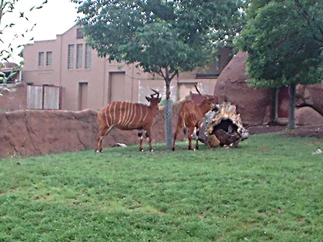 Parque Zoológico de San Luis