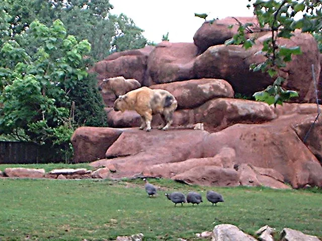 Parque Zoológico de San Luis