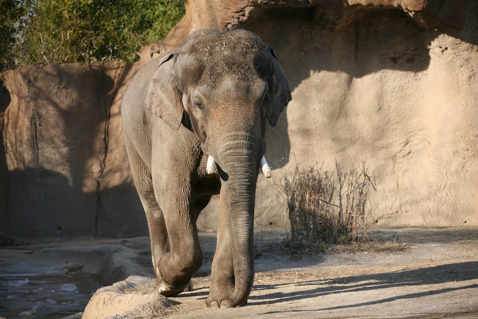 Parc zoologique de Saint-Louis