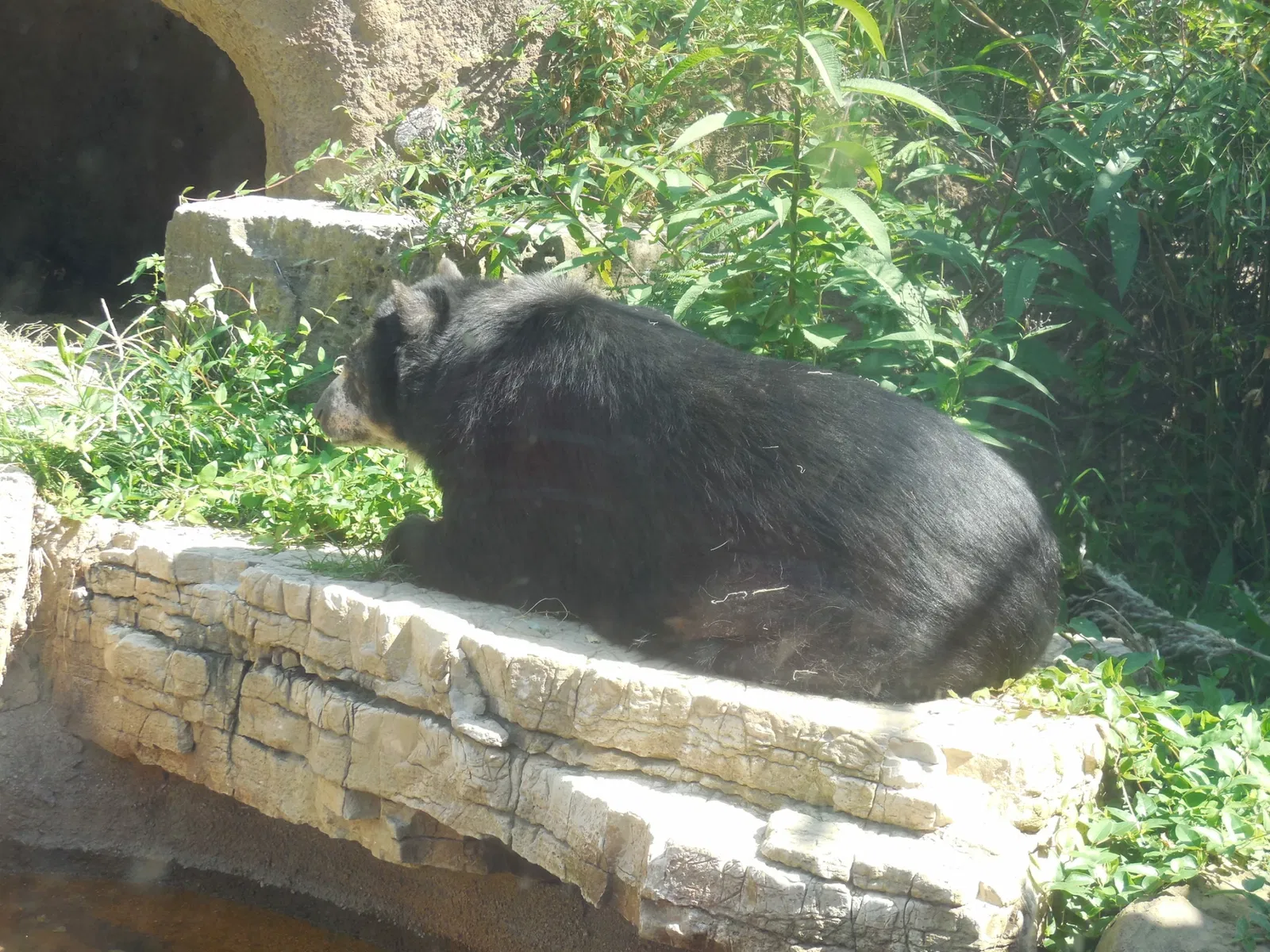 Parc zoologique de Saint-Louis