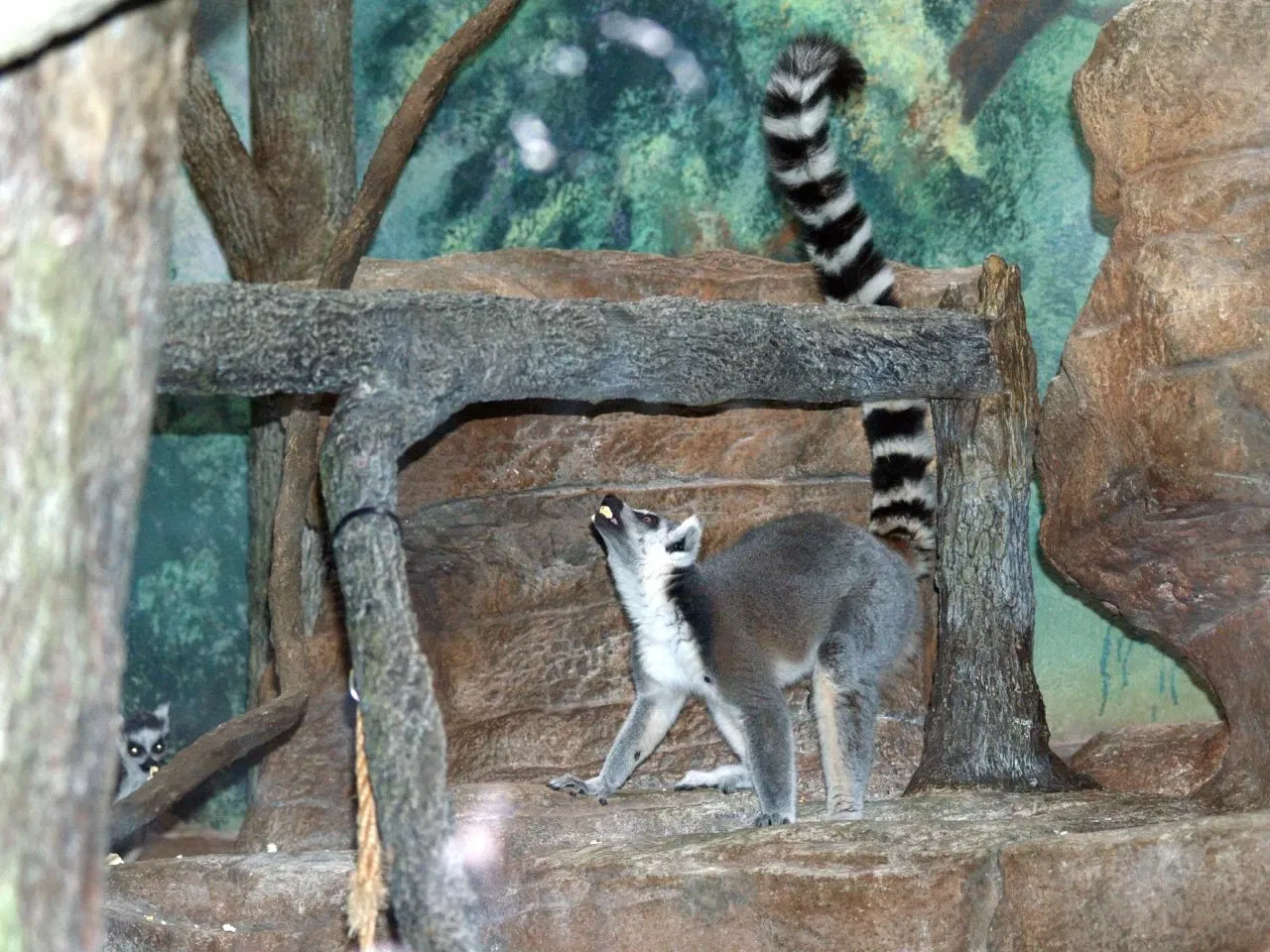 Parc zoologique de Saint-Louis