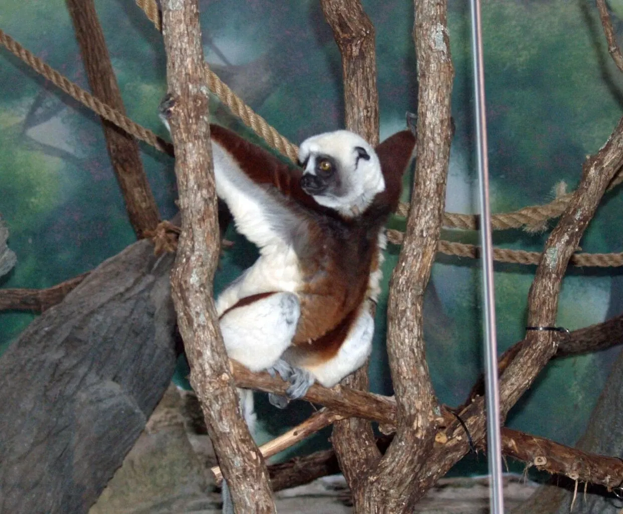 Parc zoologique de Saint-Louis