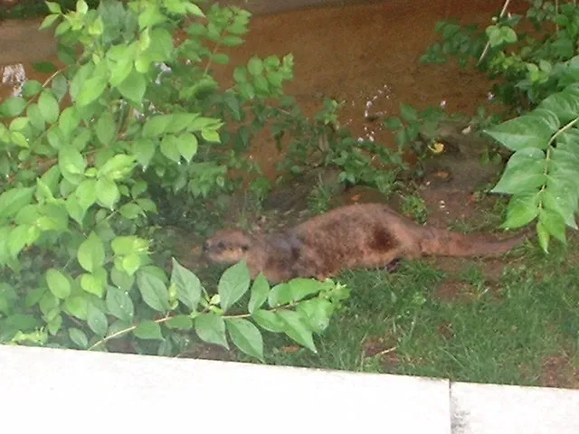 Parque Zoológico de San Luis