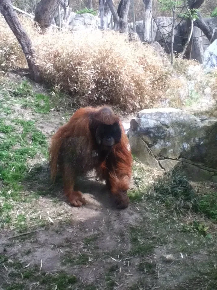 Parque Zoológico de San Luis
