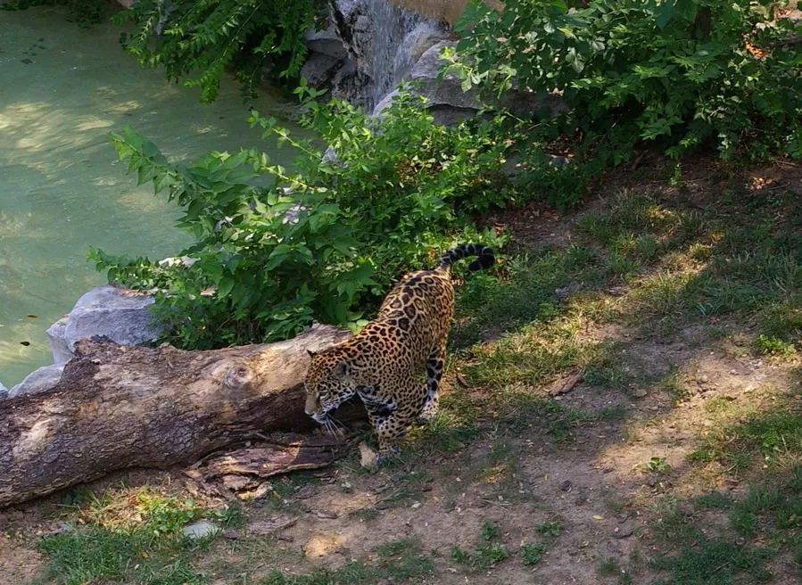Parc zoologique de Saint-Louis