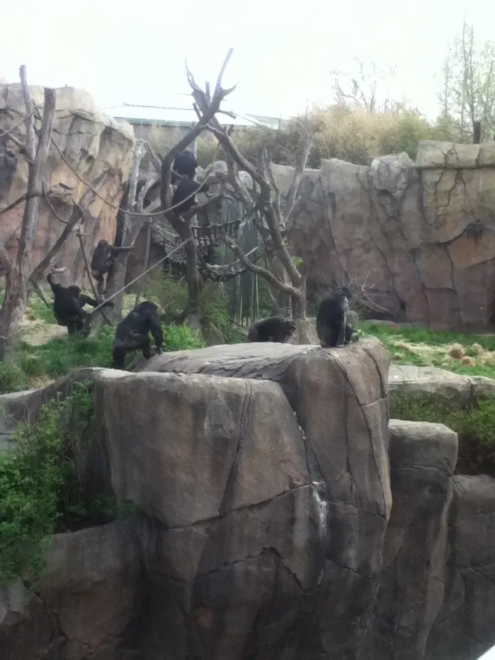 Parc zoologique de Saint-Louis