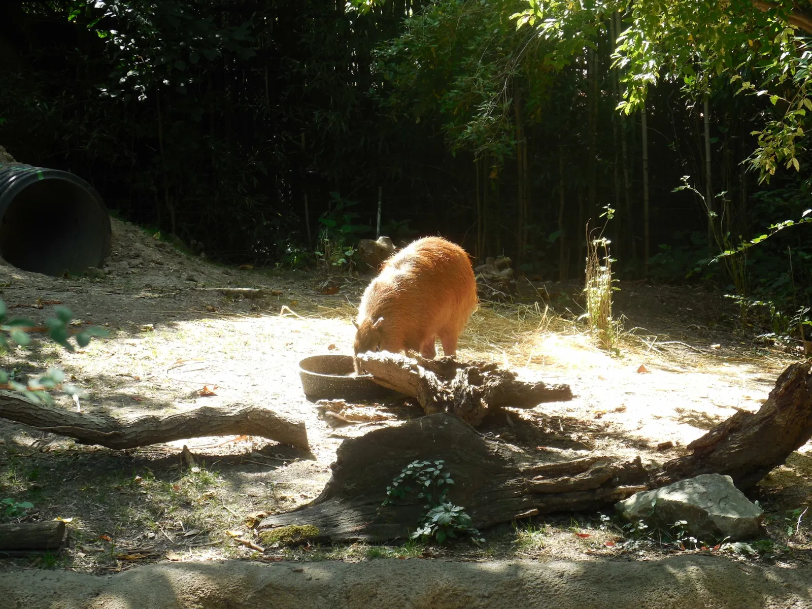 Parc zoologique de Saint-Louis