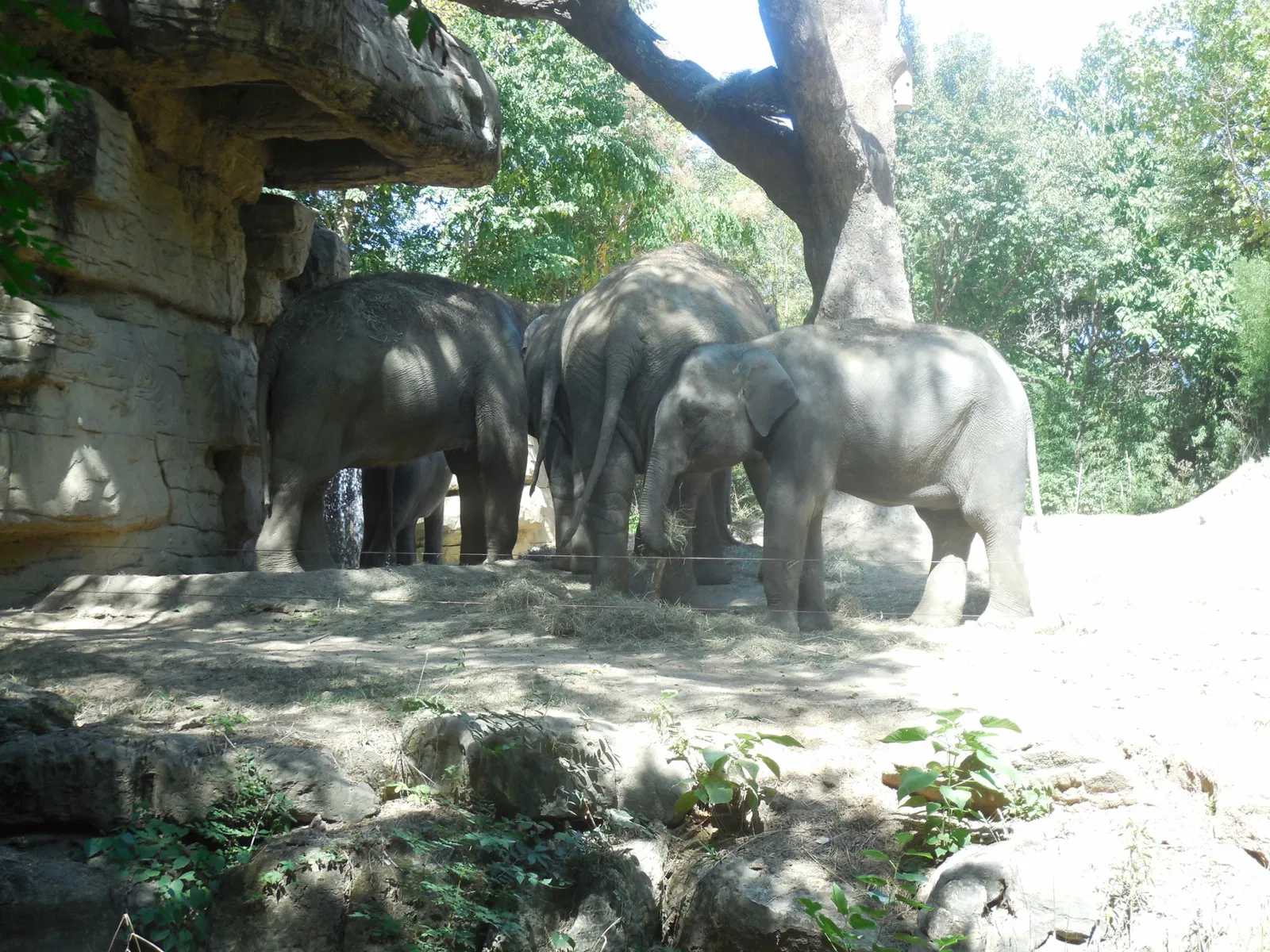Parc zoologique de Saint-Louis