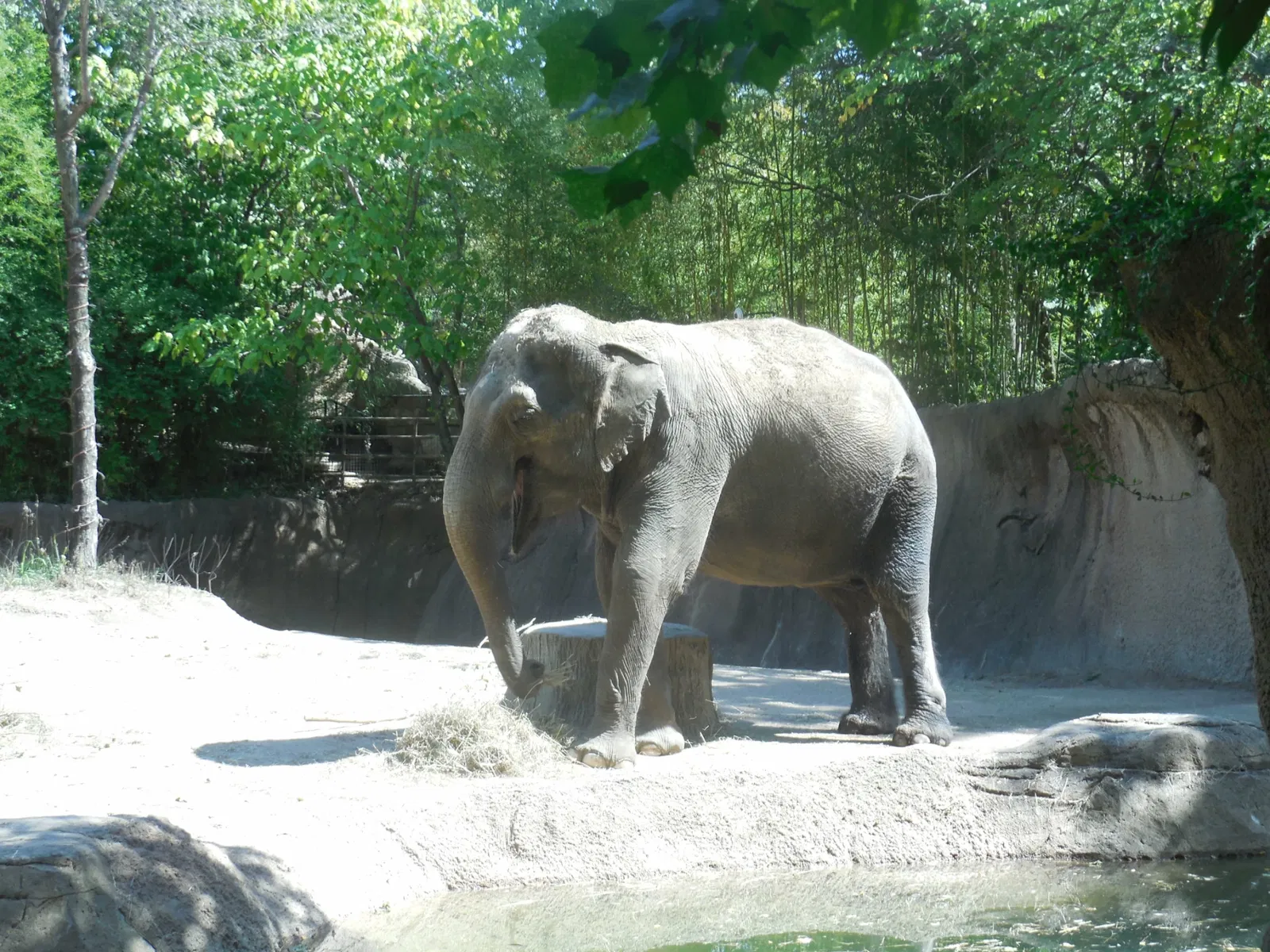 Parque Zoológico de San Luis